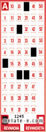 Volante ganador del sorteo 1245 de Revancha