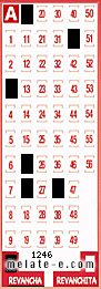 Volante ganador del sorteo 1246 de Revancha