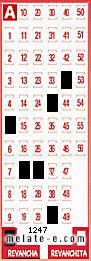 Volante ganador del sorteo 1247 de Revancha