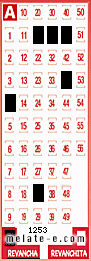 Volante ganador del sorteo 1253 de Revancha