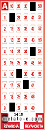 Volante ganador del sorteo 3415 de Revancha