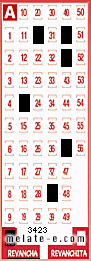 Volante ganador del sorteo 3423 de Revancha