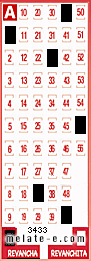Volante ganador del sorteo 3433 de Revancha