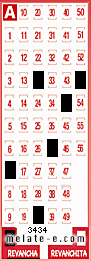 Volante ganador del sorteo 3434 de Revancha