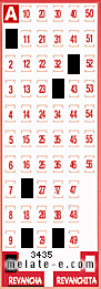 Volante ganador del sorteo 3435 de Revancha