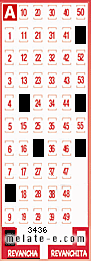 Volante ganador del sorteo 3436 de Revancha