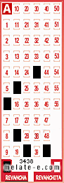 Volante ganador del sorteo 3438 de Revancha