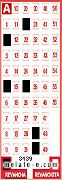 Volante ganador del sorteo 3439 de Revancha