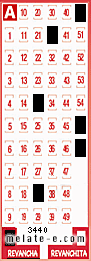 Volante ganador del sorteo 3440 de Revancha