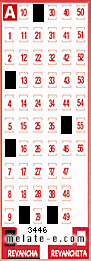 Volante ganador del sorteo 3446 de Revancha