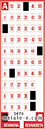 Volante ganador del sorteo 3470 de Revancha