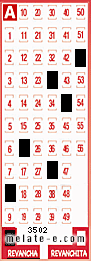 Volante ganador del sorteo 3502 de Revancha