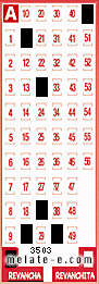 Volante ganador del sorteo 3503 de Revancha