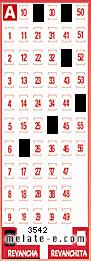 Volante ganador del sorteo 3542 de Revancha
