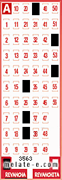 Volante ganador del sorteo 3563 de Revancha
