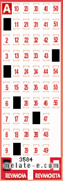 Volante ganador del sorteo 3584 de Revancha