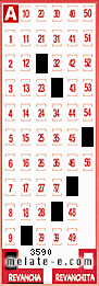 Volante ganador del sorteo 3590 de Revancha