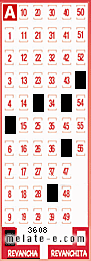 Volante ganador del sorteo 3608 de Revancha
