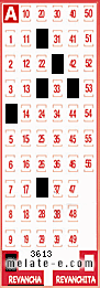 Volante ganador del sorteo 3613 de Revancha
