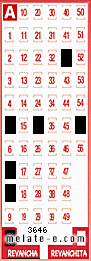 Volante ganador del sorteo 3646 de Revancha