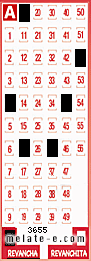 Volante ganador del sorteo 3655 de Revancha
