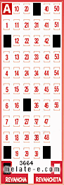 Volante ganador del sorteo 3664 de Revancha