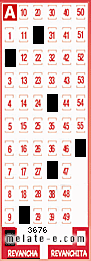 Volante ganador del sorteo 3676 de Revancha