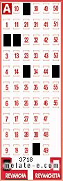 Volante ganador del sorteo 3718 de Revancha