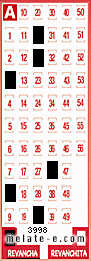 Volante ganador del sorteo 3998 de Revancha