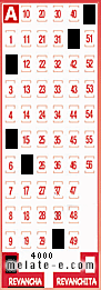 Volante ganador del sorteo 4000 de Revancha
