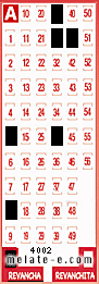 Volante ganador del sorteo 4002 de Revancha