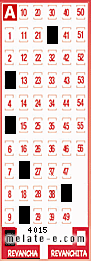 Volante ganador del sorteo 4015 de Revancha