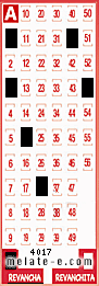 Volante ganador del sorteo 4017 de Revancha