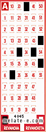 Volante ganador del sorteo 4045 de Revancha