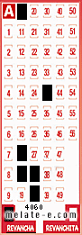 Volante ganador del sorteo 4060 de Revancha