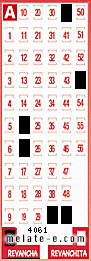 Volante ganador del sorteo 4061 de Revancha