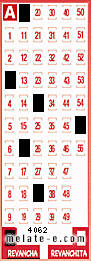 Volante ganador del sorteo 4062 de Revancha