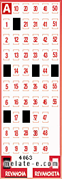 Volante ganador del sorteo 4063 de Revancha