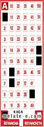 Volante ganador del sorteo 4064 de Revancha