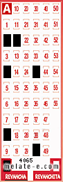 Volante ganador del sorteo 4065 de Revancha