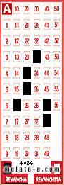 Volante ganador del sorteo 4066 de Revancha