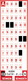 Volante ganador del sorteo 4084 de Revancha