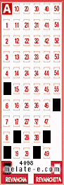Volante ganador del sorteo 4098 de Revancha