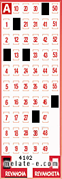 Volante ganador del sorteo 4102 de Revancha