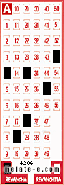 Volante ganador del sorteo 4206 de Revancha