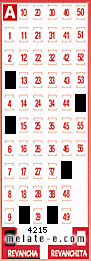 Volante ganador del sorteo 4215 de Revancha