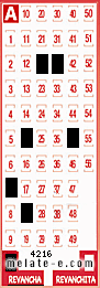 Volante ganador del sorteo 4216 de Revancha