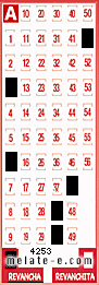 Volante ganador del sorteo 4253 de Revancha