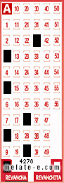 Volante ganador del sorteo 4278 de Revancha