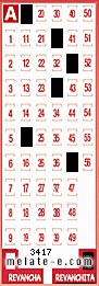 Volante ganador del sorteo 3417 de Revanchita